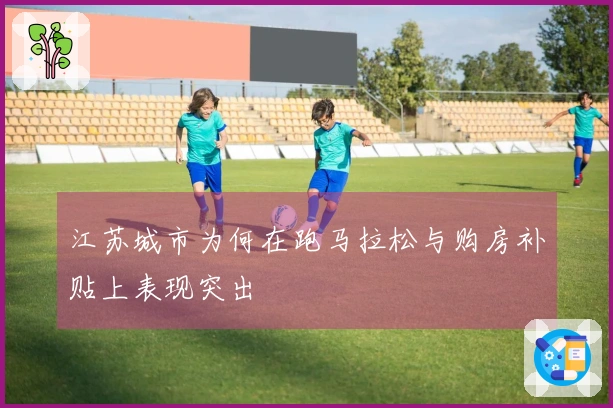 江苏城市为何在跑马拉松与购房补贴上表现突出