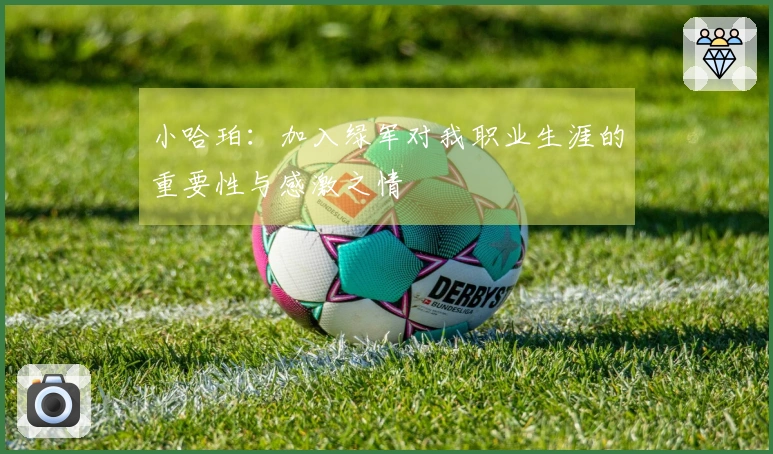 小哈珀：加入绿军对我职业生涯的重要性与感激之情